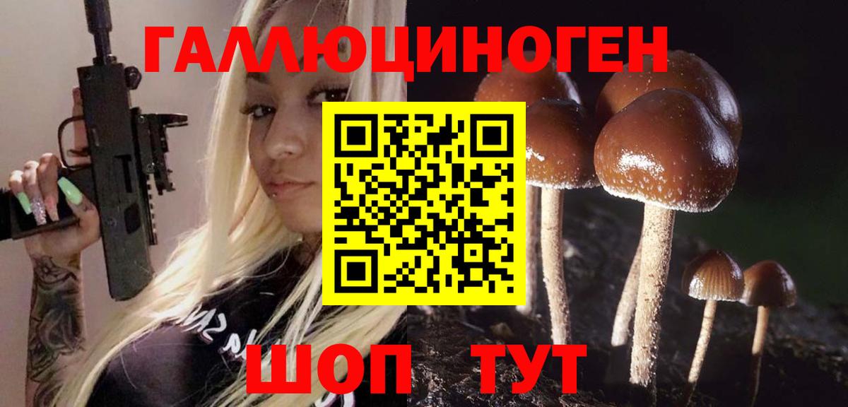 Псилоцибиновые грибы Magic Shrooms Карачаевск