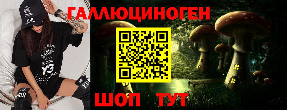 как найти наркотики  Вход с VPN  Карачаевск  Галлюциногенные грибы ЛСД  Галлюциногенные грибы Psilocybine cubensis 